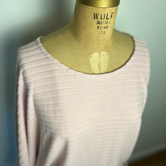 Anthropologie women’s velour striped pullover pale pink top size medium - Picture 3 of 7